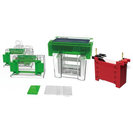 Hệ thống điện di và chuyển màng tất cả trong một