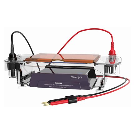 Tế bào điện di ngang có đèn chiếu sáng màu xanh