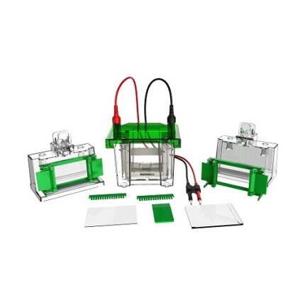 Tế bào điện di dọc mini