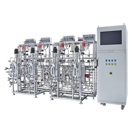 Nhiều bồn lên men thép không gỉ song song